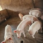 4b11e030-2dad-41ec-a0b0-2d0e109c27cf 4b11e030-2dad-41ec-a0b0-2d0e109c27cf