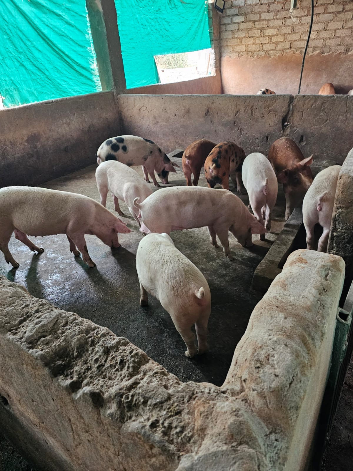 8a94f67a-b551-4f44-b612-e4b16a3add33