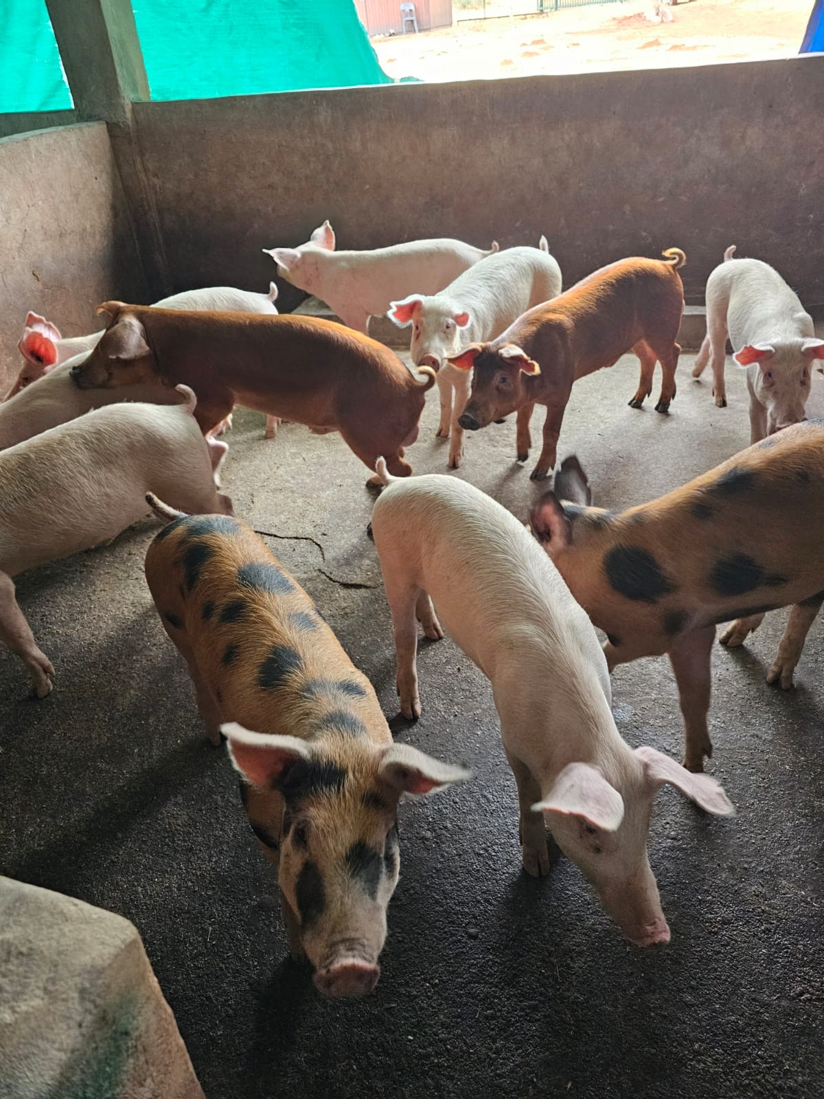 99bf2589-8ff9-4146-b767-6d38fd91647f