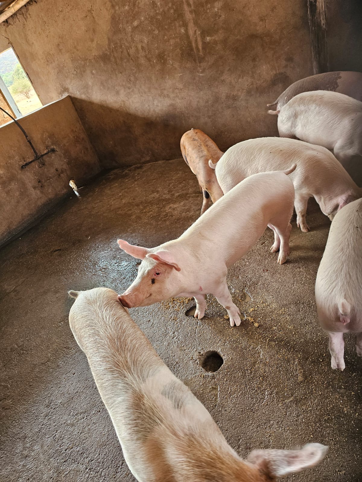 a50cca0d-762e-412c-811c-f7938670ea27