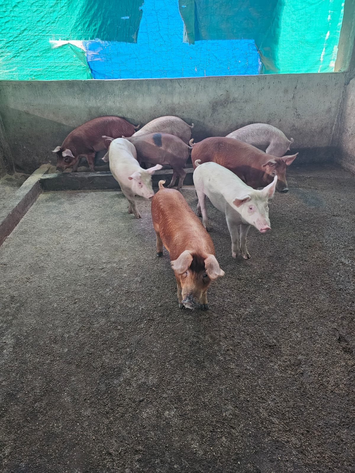 b522773c-3a2b-4bdc-a724-55e7715b0506